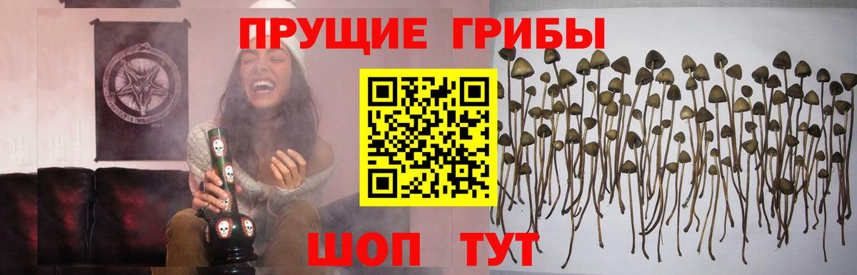 Псилоцибиновые грибы MAGIC MUSHROOMS Саранск
