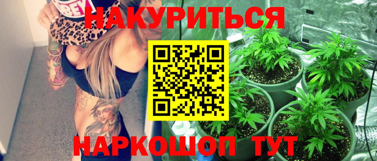 Бошки Шишки семена Саранск
